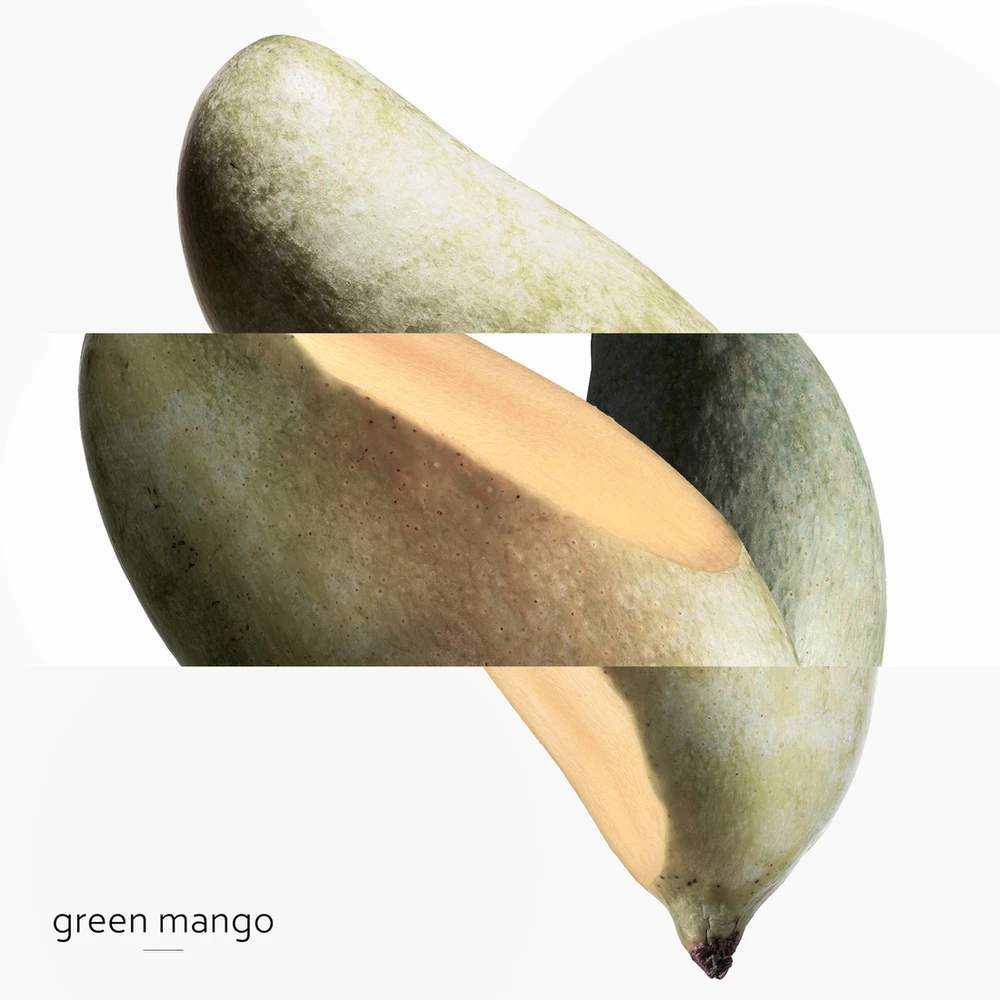 Hermès Un Jardin Sur Le Nil 4 Hermès Un Jardin Sur Le Nil – Image 4