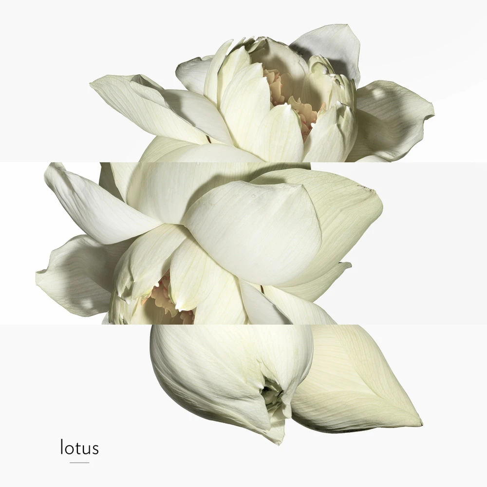 Hermès Un Jardin Sur Le Nil 5 Hermès Un Jardin Sur Le Nil – Image 5