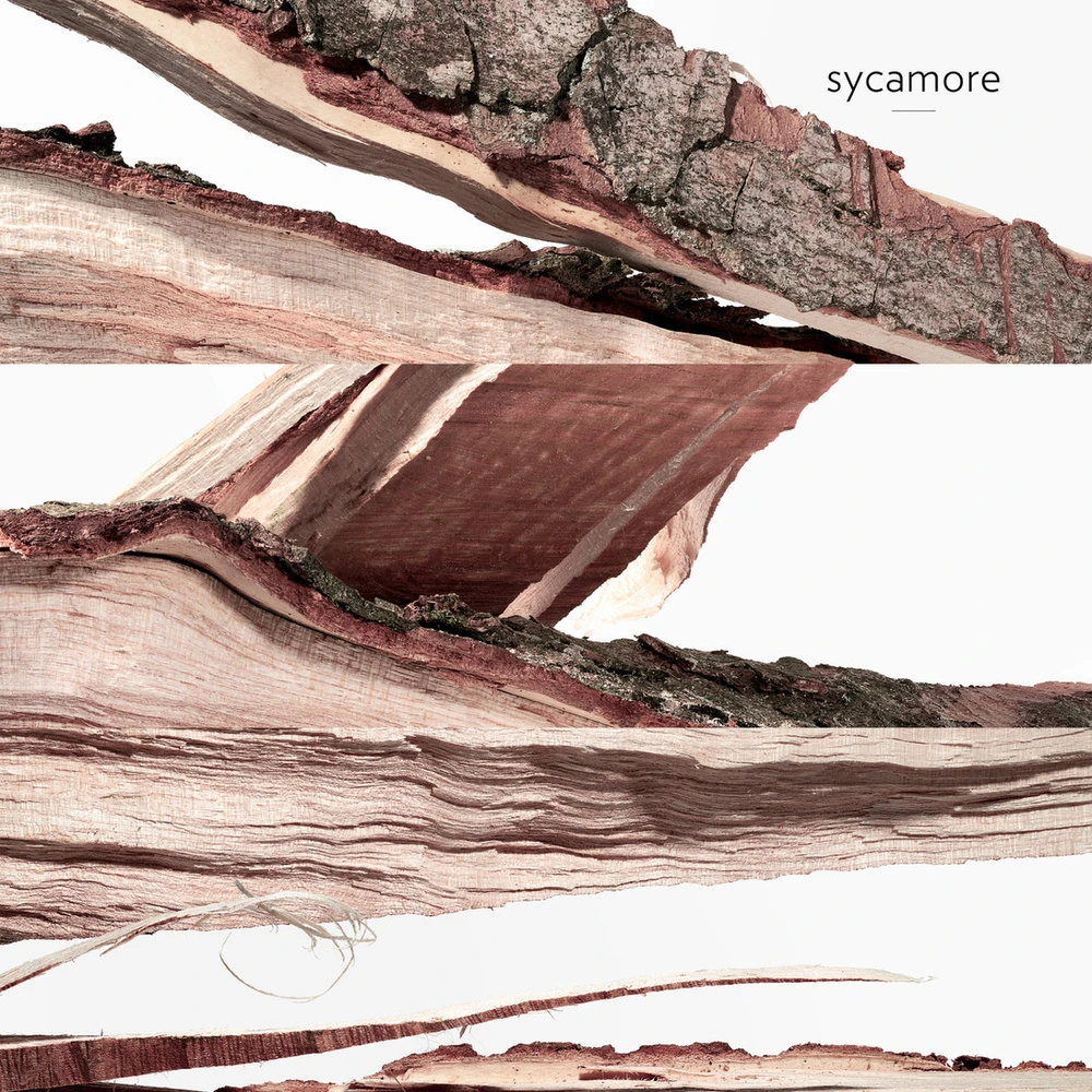 Hermès Un Jardin Sur Le Nil 6 Hermès Un Jardin Sur Le Nil – Image 6