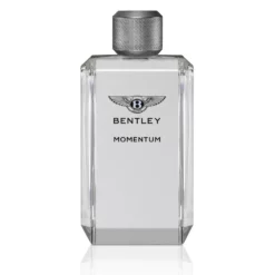 Bentley Momentum