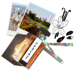 CARVEN PARIS SAO PAULO 6 CARVEN PARIS SAO PAULO -France Cadeau Soldes 2024 221166 carven paris sao paulo eau de parfum vaporisateur 100 ml autre2 1000x1000 1