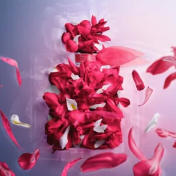 Lancome La Vie Est Belle Intensément -France Cadeau Soldes 2024 239671 lancome la vie est belle intensement eau de parfum intense vaporisateur 30 ml autre2 1000x1000 1