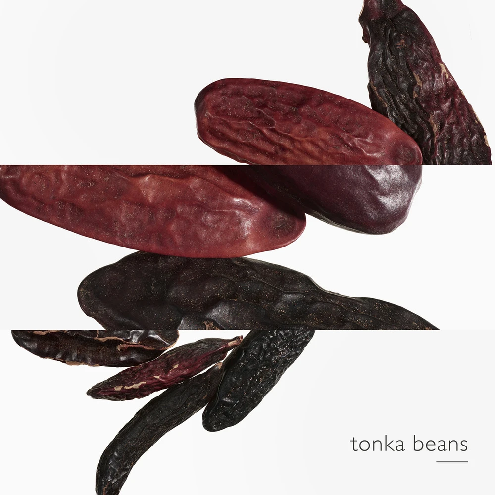 Hermès Ombre Des Merveilles 6 Hermès Ombre Des Merveilles – Image 6