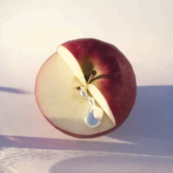 Hugo Boss ALIVE 6 Hugo Boss ALIVE -France Cadeau Soldes 2024 240286 hugo boss alive eau de parfum vaporisateur 50 ml autre2 1000x1000 1