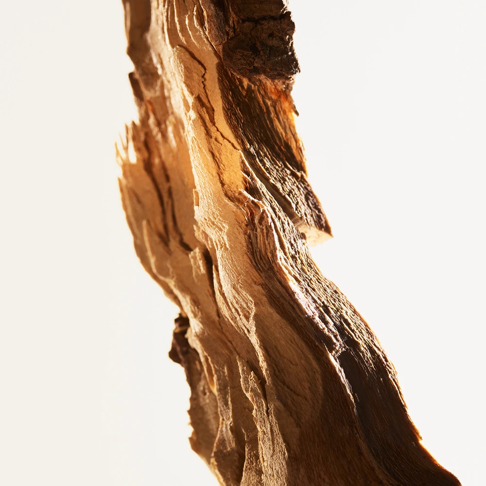 Bottega Veneta Parco Palladiano XII - Quercia 4 Bottega Veneta Parco Palladiano XII - Quercia – Image 4