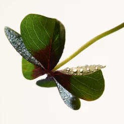 Bottega Veneta Parco Palladiano XIII - Quadrifoglio 7 Bottega Veneta Parco Palladiano XIII - Quadrifoglio -France Cadeau Soldes 2024 242399 bottega veneta parco palladiano xiii quadrifoglio eau de parfum vaporisateur 100 ml autre3 1000x1000 1