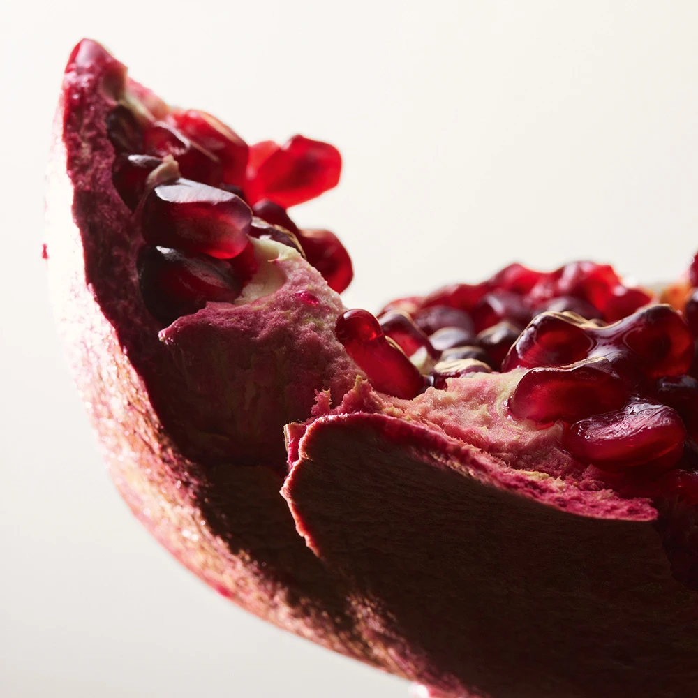 Bottega Veneta Parco Palladiano XIV - Melagrana 4 Bottega Veneta Parco Palladiano XIV - Melagrana – Image 4