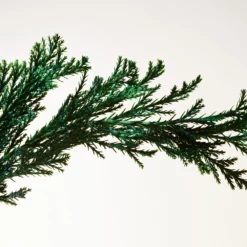 Bottega Veneta Parco Palladiano II - Cipresso 7 Bottega Veneta Parco Palladiano II - Cipresso -France Cadeau Soldes 2024 242406 bottega veneta parco palladiano ii cipresso eau de parfum vaporisateur 100 ml autre3 1000x1000 1