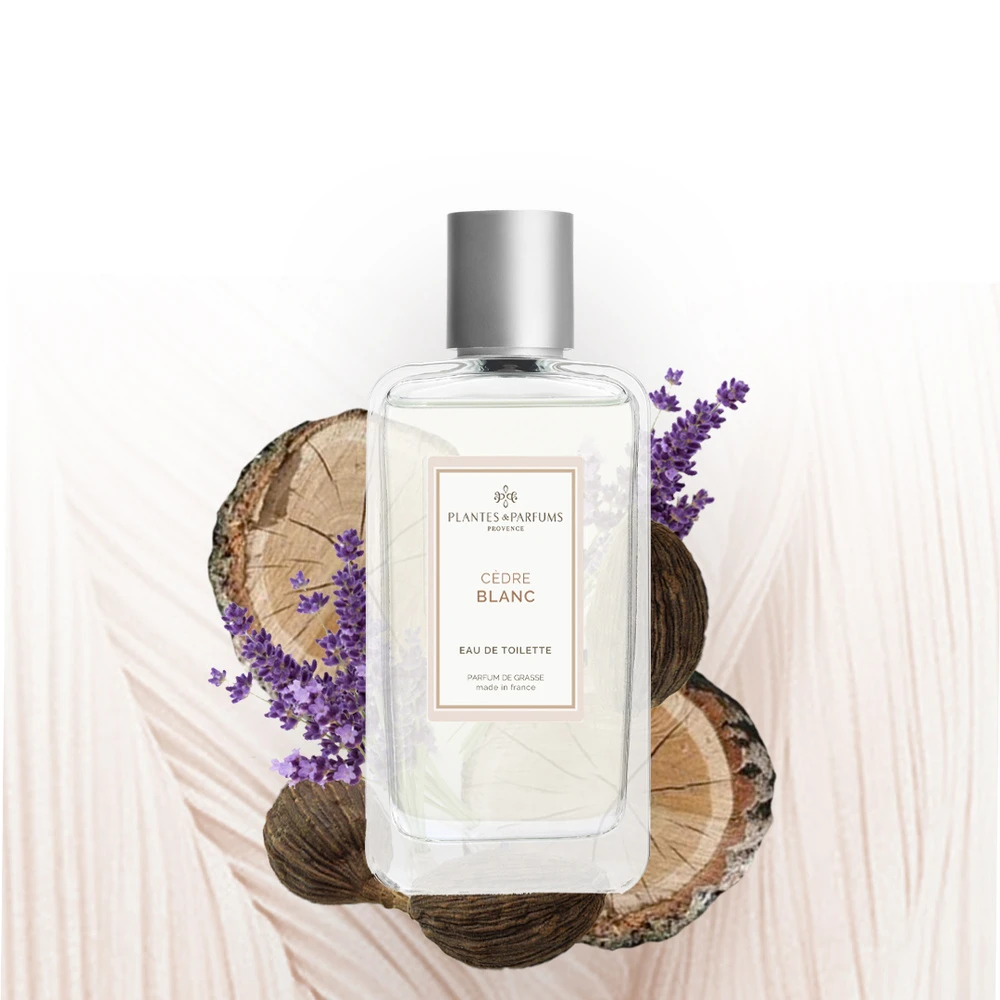 Cèdre Blanc 3 Cèdre Blanc – Image 3