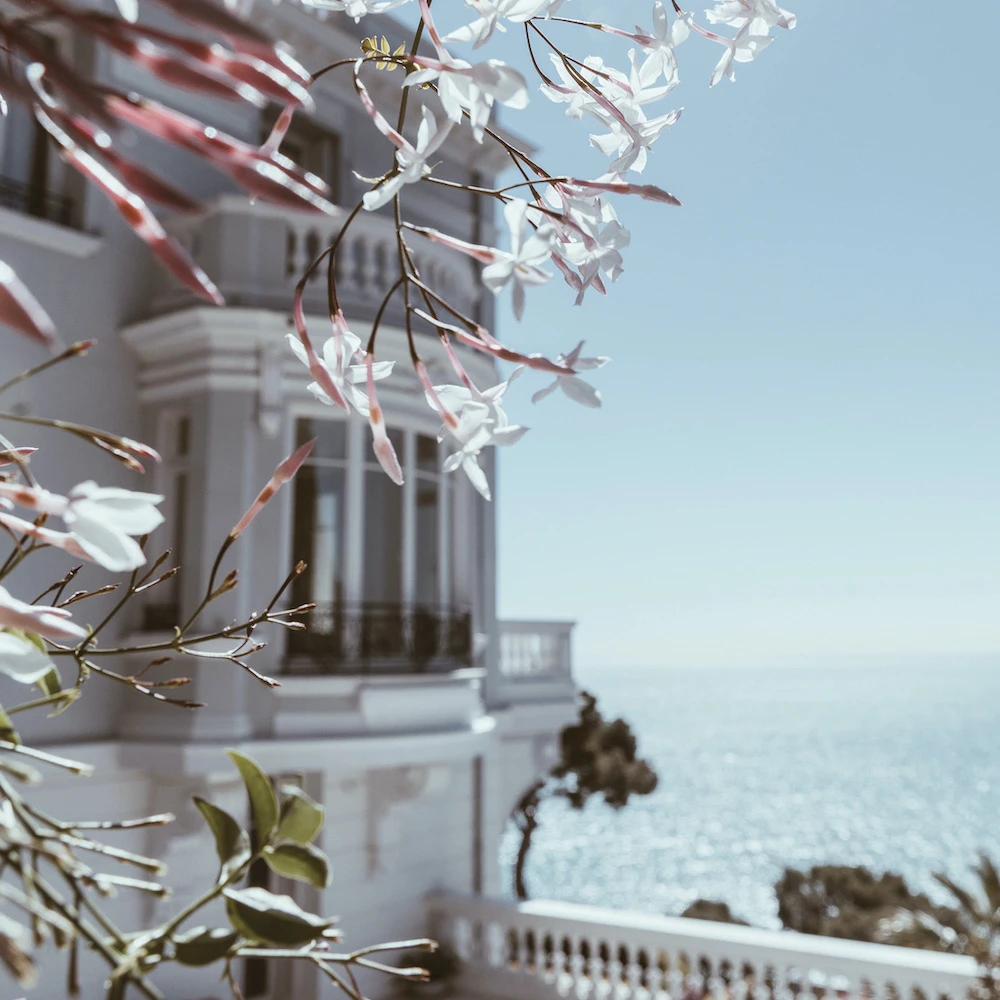 VILLA SIMONE ABSOLU 4 VILLA SIMONE ABSOLU – Image 4