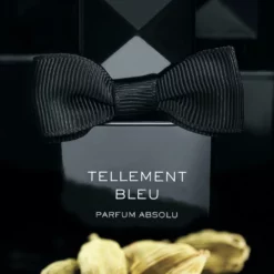TELLEMENT BLEU ABSOLU -France Cadeau Soldes 2024 255840 alex simone tellement bleu absolu parfum vaporisateur 30 ml autre2 1000x1000 1