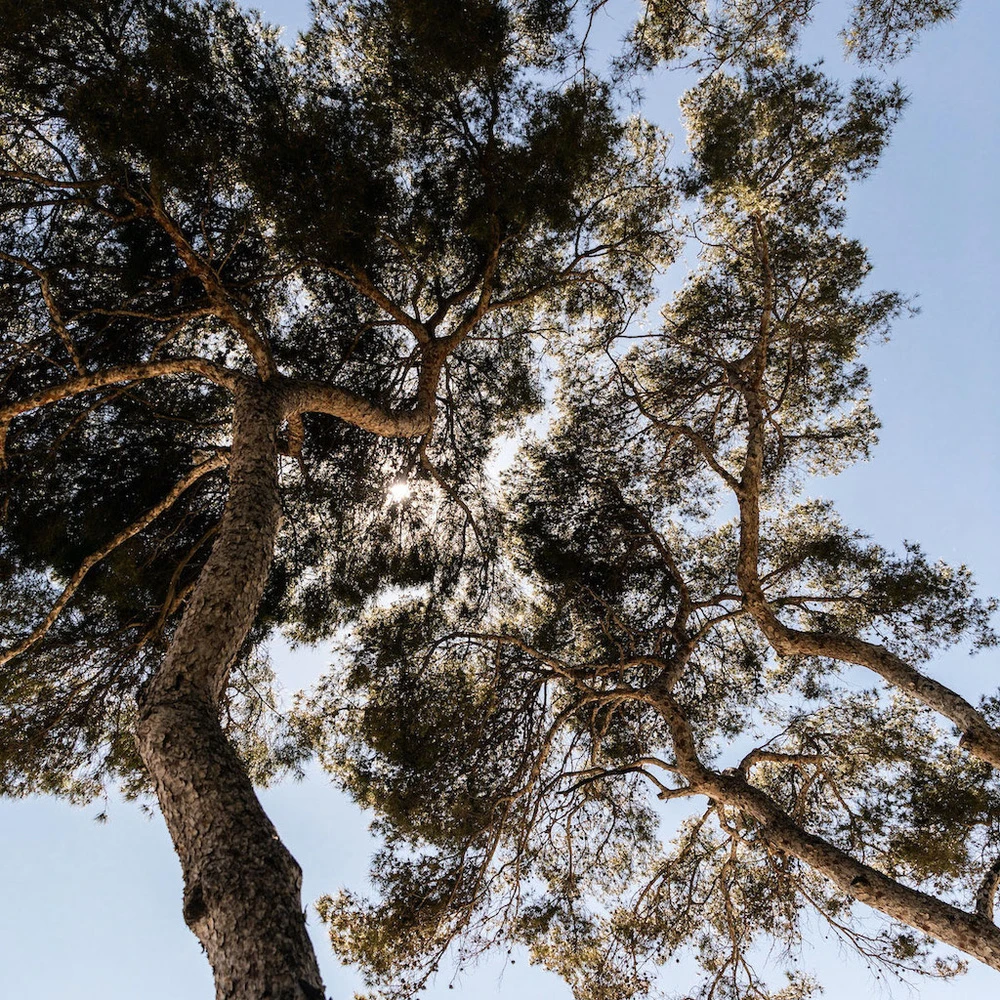 EN TERRASSE ABSOLU 4 EN TERRASSE ABSOLU – Image 4