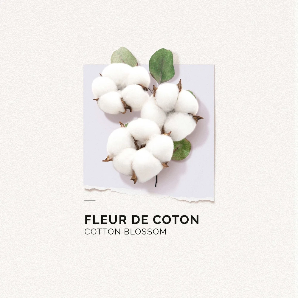 Fleur De Coton 2 Fleur De Coton – Image 2