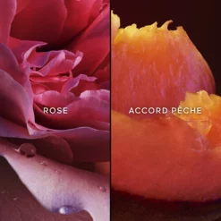 Guerlain Nahema -France Cadeau Soldes 2024 263509 guerlain nahema edp vapo 75ml eau de parfum vaporisateur 75 ml autre2 1000x1000 1