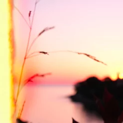 EN TERRASSE EAU FRAICHE 8 EN TERRASSE EAU FRAICHE -France Cadeau Soldes 2024 279126 alex simone en terrasse eau fraiche eau de cologne vaporisateur 100 ml autre3 1000x1000 1