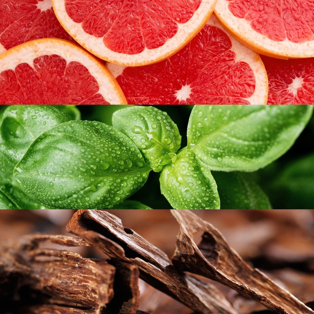 Lacoste Booster 2 Lacoste Booster – Image 2