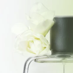 ARME BLANCHE 15ML -France Cadeau Soldes 2024 288375 l atelier parfum paris arme blanche 15ml eau de parfum 15 ml autre3 1000x1000 1