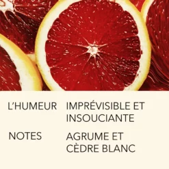 VERTE EUPHORIE 15ML 9 VERTE EUPHORIE 15ML -France Cadeau Soldes 2024 288378 l atelier parfum paris verte euphorie 15ml eau de parfum 15 ml autre3 1000x1000 1