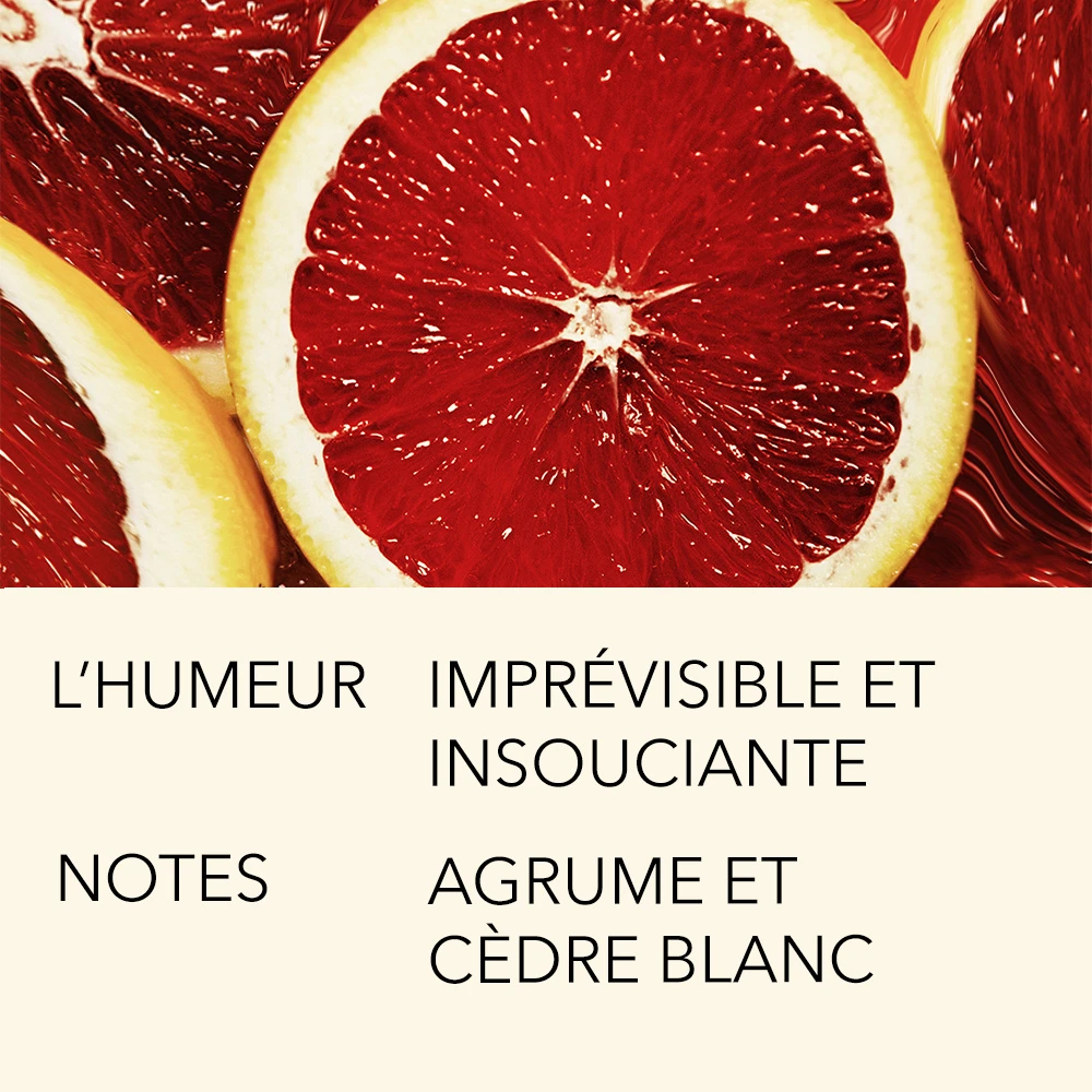 VERTE EUPHORIE 15ML 4 VERTE EUPHORIE 15ML – Image 4