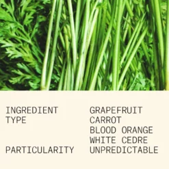 VERTE EUPHORIE 15ML 11 VERTE EUPHORIE 15ML -France Cadeau Soldes 2024 288378 l atelier parfum paris verte euphorie 15ml eau de parfum 15 ml autre5 1000x1000 1