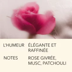 ROSE COUP DE FOUDRE 15ML -France Cadeau Soldes 2024 288381 l atelier parfum paris rose coup de foudre 15ml eau de parfum 15 ml autre4 1000x1000 1