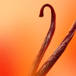 EXQUISE TENTATION 15ML 9 EXQUISE TENTATION 15ML -France Cadeau Soldes 2024 288390 l atelier parfum paris exquise tentation 15ml eau de parfum 15 ml autre3 1000x1000 1