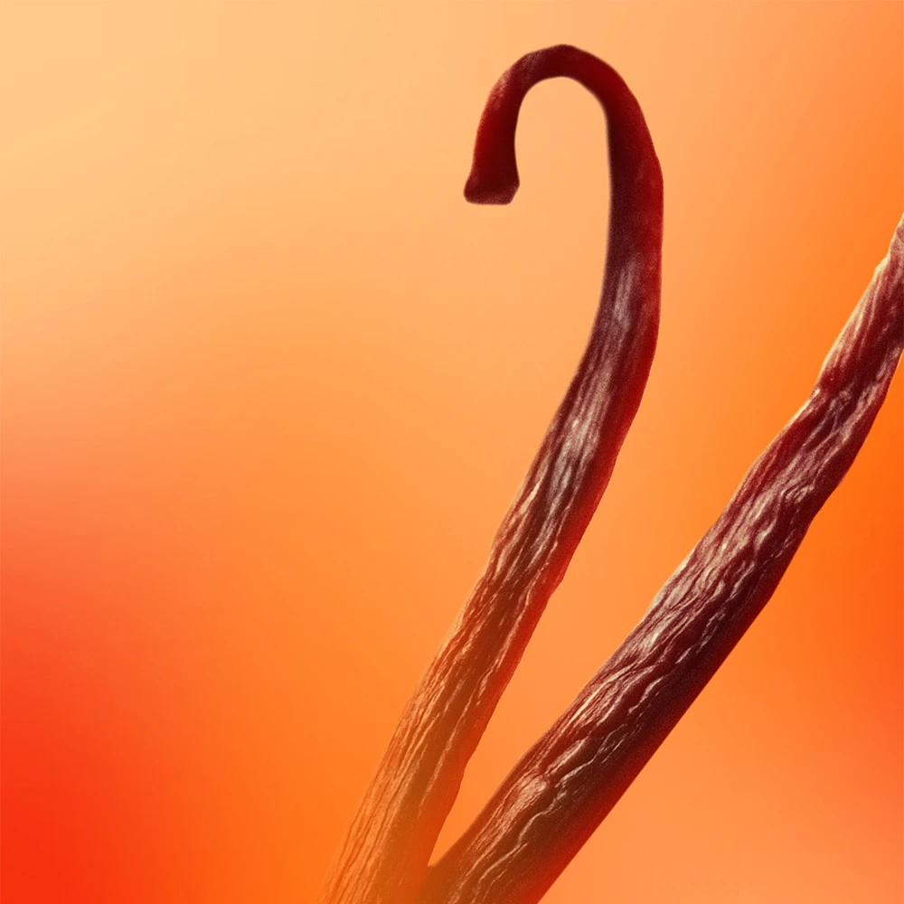 EXQUISE TENTATION 15ML 4 EXQUISE TENTATION 15ML – Image 4