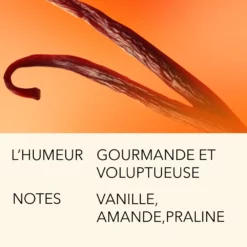 EXQUISE TENTATION 15ML 11 EXQUISE TENTATION 15ML -France Cadeau Soldes 2024 288390 l atelier parfum paris exquise tentation 15ml eau de parfum 15 ml autre5 1000x1000 1
