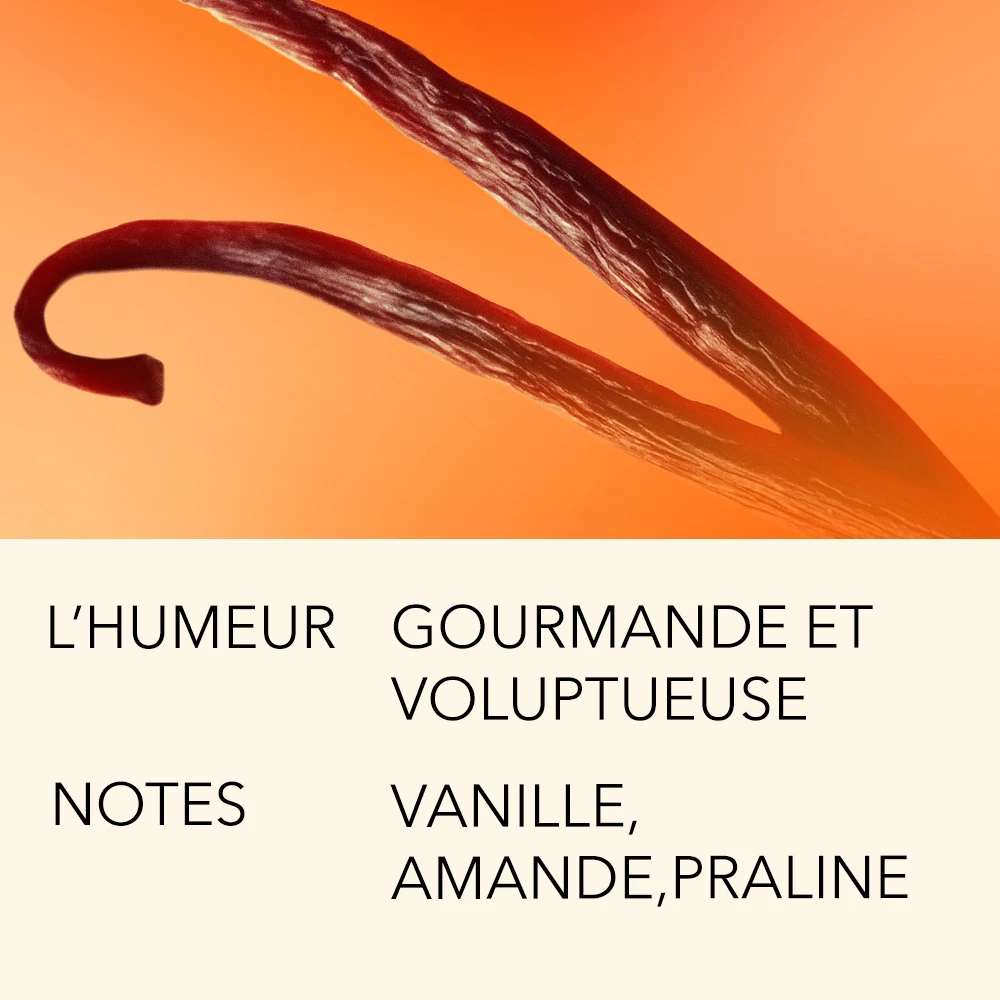 EXQUISE TENTATION 15ML 6 EXQUISE TENTATION 15ML – Image 6