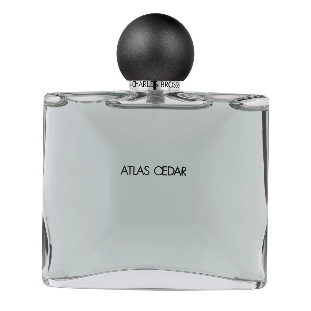 Atlas Cedar 1 Atlas Cedar