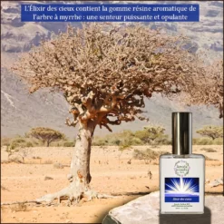 Élixir Des Cieux -France Cadeau Soldes 2024 291009 anuja aromatics elixir des cieux eau de parfum bio aux essences 100 naturelles vaporisateur 50 ml autre6 1000x1000 1