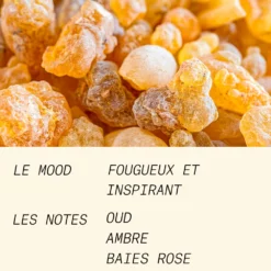 BURNING FOR OUD 15ML -France Cadeau Soldes 2024 304904 l atelier parfum burning for oud 15ml eau de parfum autre5 1000x1000 1