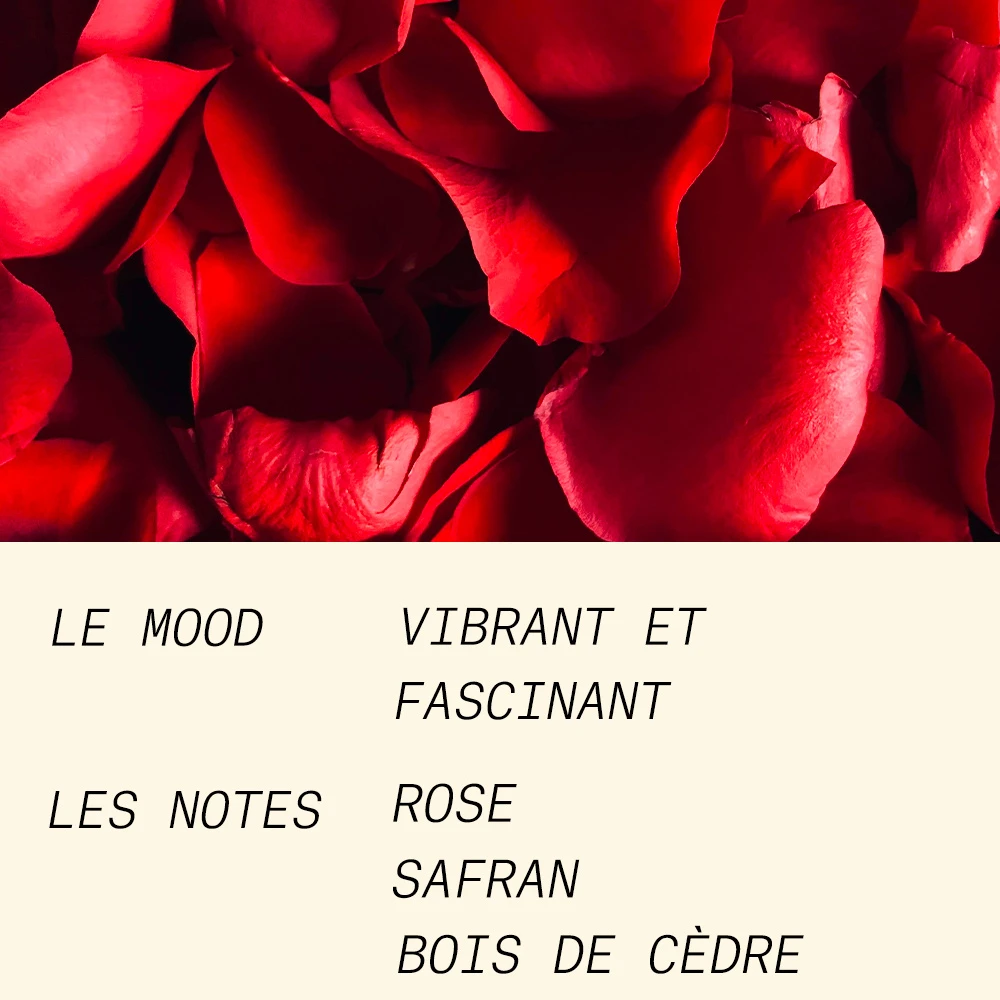 DOSE OF ROSE 15ML 4 DOSE OF ROSE 15ML – Image 4