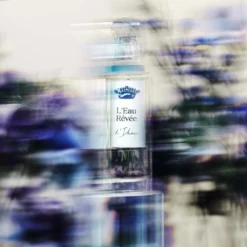 Sisley Eau Rêvée D'Ikar 11 Sisley Eau Rêvée D'Ikar -France Cadeau Soldes 2024 307090 sisley eau revee d ikar eau de toilette 50 ml autre4 1000x1000 1