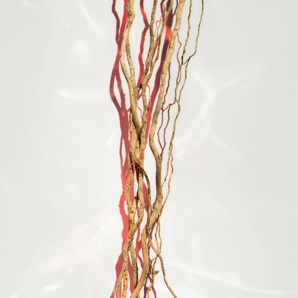 Hugo Boss Alive Parfum 6 Hugo Boss Alive Parfum – Image 6