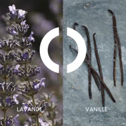 POUR UN HOMME DE CARON - EDT Vaporisateur 50ml - Edition Limitée 2023 5 POUR UN HOMME DE CARON - EDT Vaporisateur 50ml - Edition Limitée 2023 -France Cadeau Soldes 2024 309375 caron pour un homme de caron edt vaporisateur 50ml edition limitee 2023 parfum edition limitee 50 ml autre4 1000x1000 1