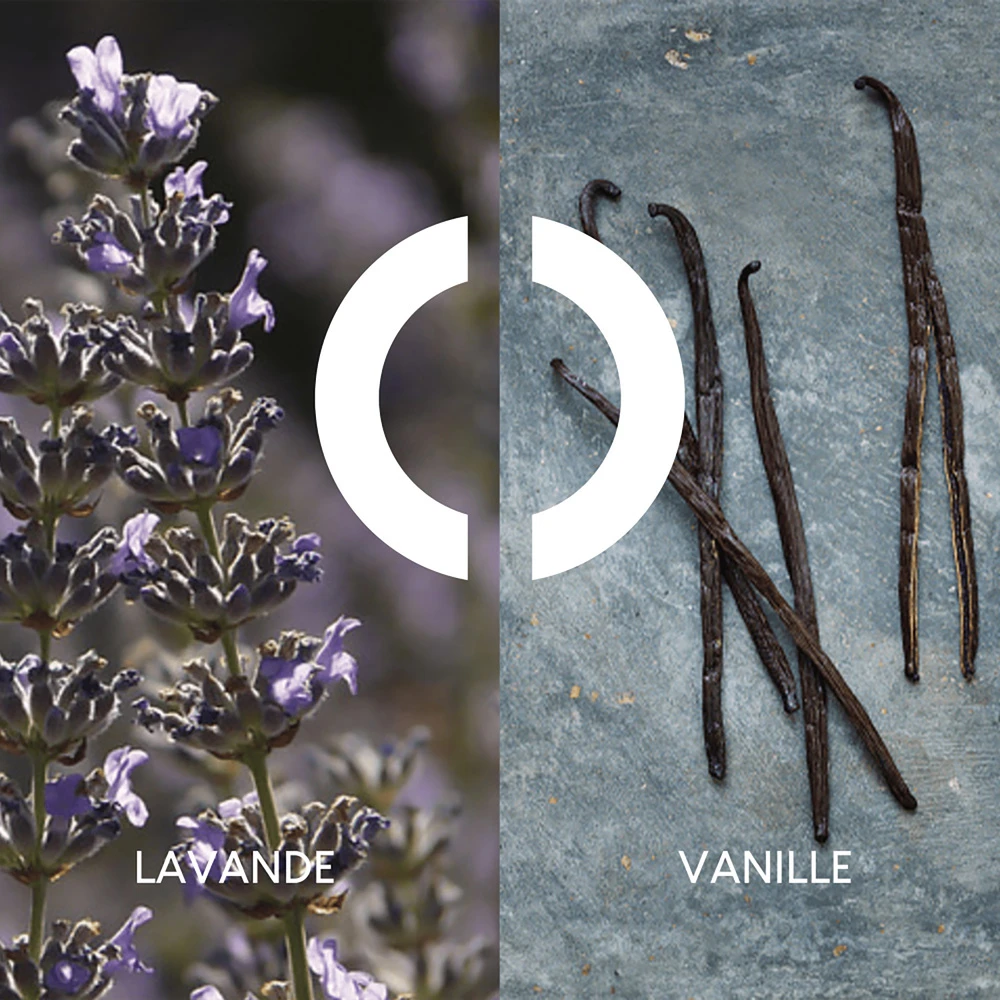 POUR UN HOMME DE CARON - EDT Vaporisateur 50ml - Edition Limitée 2023 3 POUR UN HOMME DE CARON - EDT Vaporisateur 50ml - Edition Limitée 2023 – Image 3