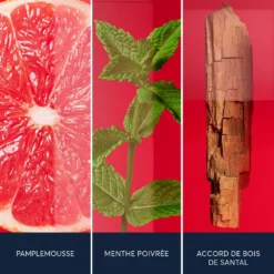 Hugo Boss Hugo Jeans 9 Hugo Boss Hugo Jeans -France Cadeau Soldes 2024 310663 hugo boss hugo jeans eau de toilette vaporisateur 75 ml autre3 1000x1000 1