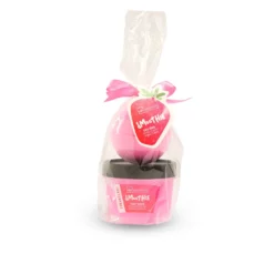 Smoothie Mini Bath Strawberry Coffret Idc Institute