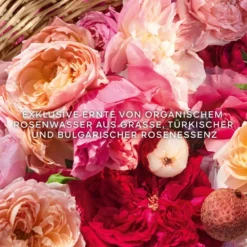 Guerlain Aqua Allegoria Rosa Rossa Harvest Eau De Toilette Spray -France Cadeau Soldes 2024 837526 guerlain aqua allegoria rosa rossa harvest eau de toilette spray eau de toilette autre3 1000x1000 1